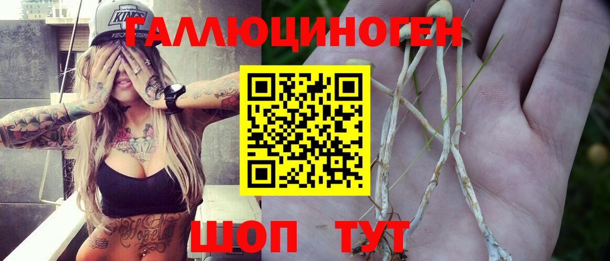Северобайкальск  Галлюциногенные грибы мухоморы  Вход с VPN 